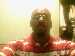 Free Personals Ads Photo #1 - mrniceguy